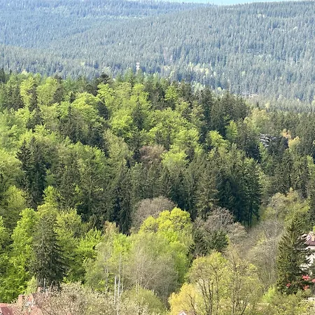 6 Mountain View Διαμέρισμα